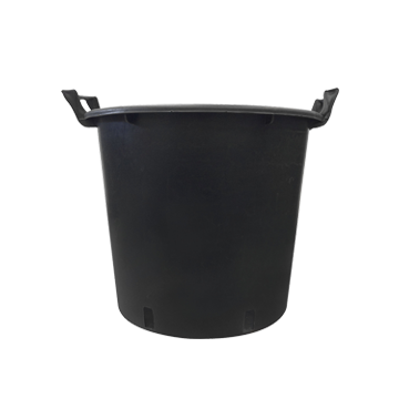 Tree Container with Handles